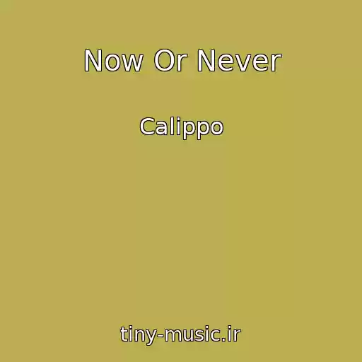 کاور آهنگ Now Or Never از Calippo