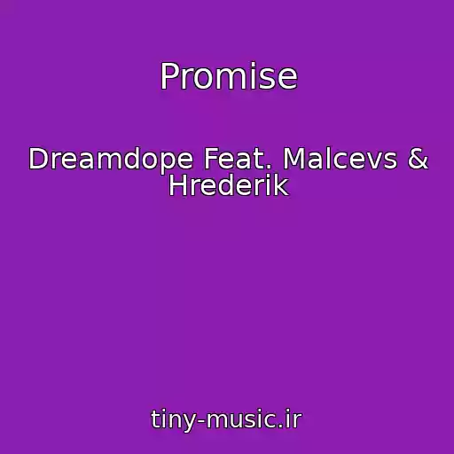 کاور آهنگ Promise از Dreamdope Feat. Malcevs & Hrederik