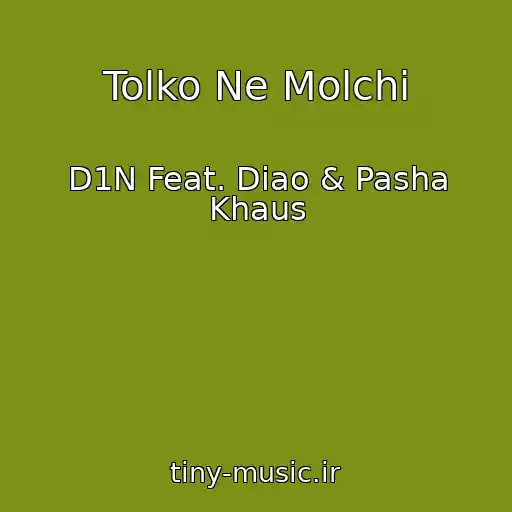 کاور آهنگ Tolko Ne Molchi از D1N Feat. Diao & Pasha Khaus