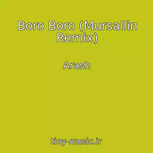 کاور آهنگ Boro Boro (Mursallin Remix) از Arash