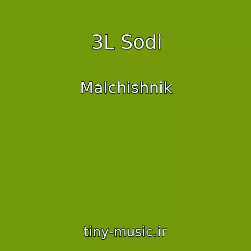 کاور آهنگ 3L Sodi از Malchishnik