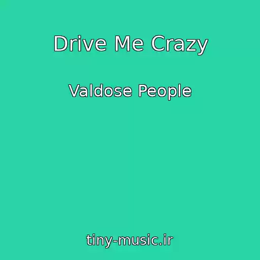 کاور آهنگ Drive Me Crazy از Valdose People