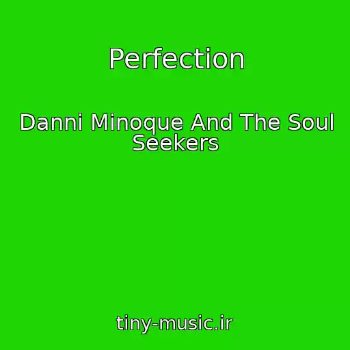 کاور آهنگ Perfection از Danni Minoque And The Soul Seekers