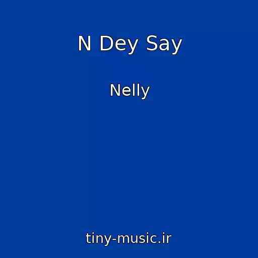 کاور آهنگ N Dey Say از Nelly