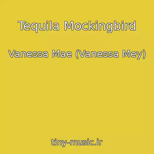 کاور آهنگ Tequila Mockingbird از Vanessa Mae (Vanessa Mey)