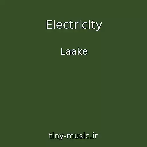 کاور آهنگ Electricity از Laake