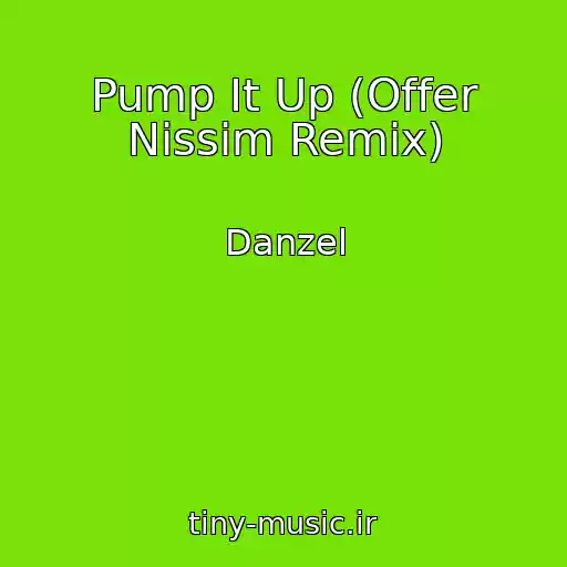 کاور آهنگ Pump It Up (Offer Nissim Remix) از Danzel