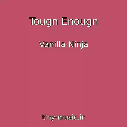 کاور آهنگ Tougn Enougn از Vanilla Ninja