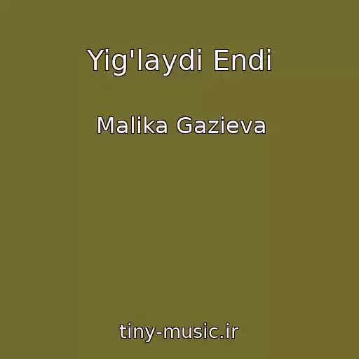 کاور آهنگ Yig'laydi Endi از Malika Gazieva