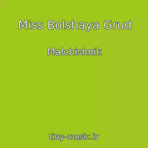 کاور آهنگ Miss Bolshaya Grud از Malchishnik