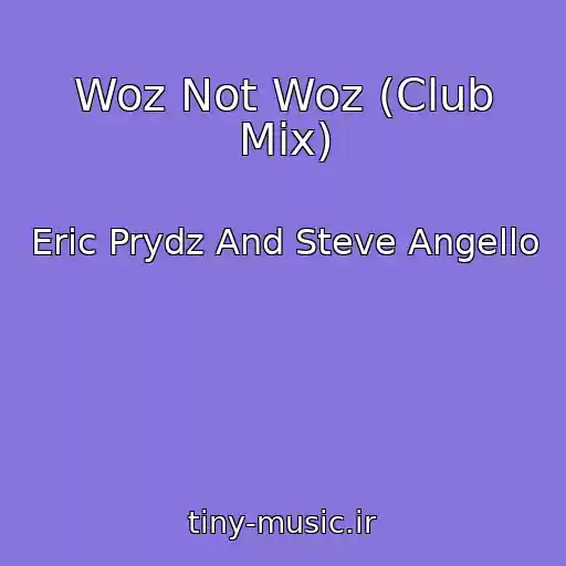 کاور آهنگ Woz Not Woz (Club Mix) از Eric Prydz And Steve Angello