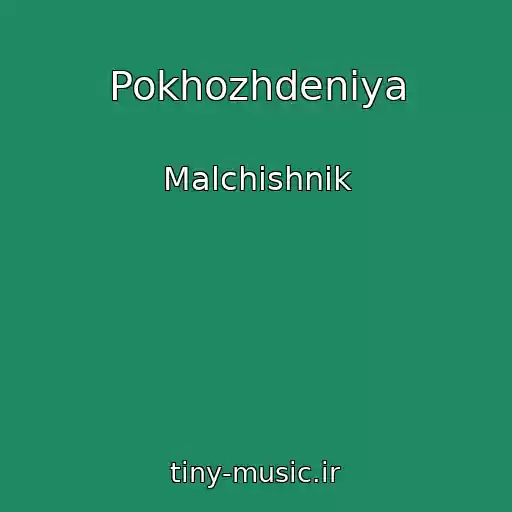 کاور آهنگ Pokhozhdeniya از Malchishnik