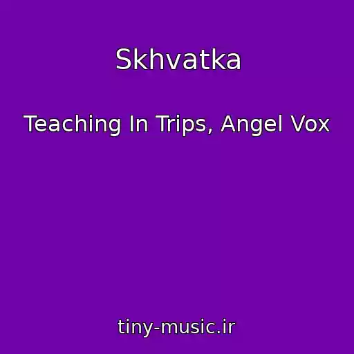 کاور آهنگ Skhvatka از Teaching In Trips, Angel Vox