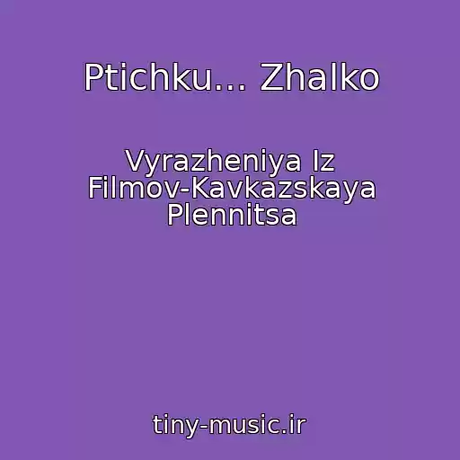 کاور آهنگ Ptichku... Zhalko از Vyrazheniya Iz Filmov-Kavkazskaya Plennitsa