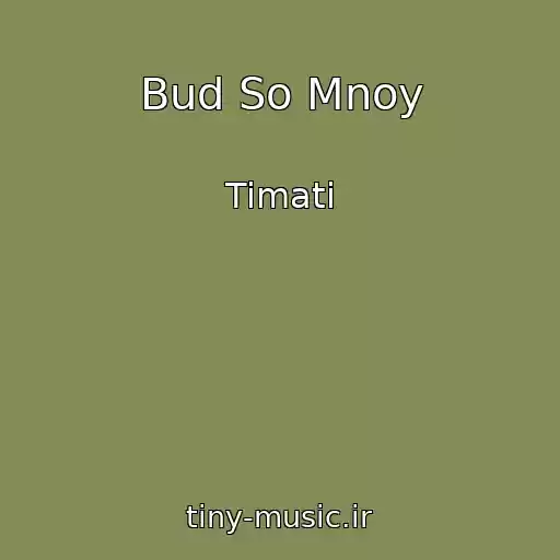 کاور آهنگ Bud So Mnoy از Timati