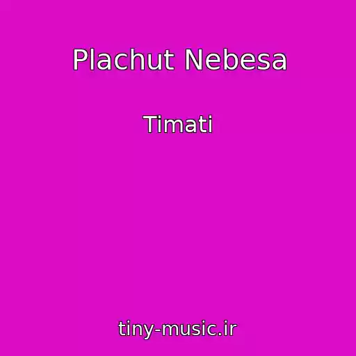 کاور آهنگ Plachut Nebesa از Timati