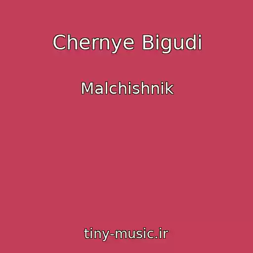 کاور آهنگ Chernye Bigudi از Malchishnik