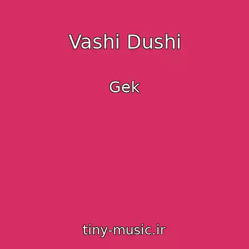 کاور آهنگ Vashi Dushi از Gek