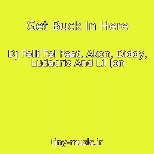 کاور آهنگ Get Buck In Here از Dj Felli Fel Feat. Akon, Diddy, Ludacris And Lil Jon