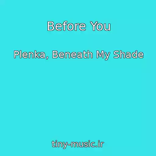 کاور آهنگ Before You از Plenka, Beneath My Shade