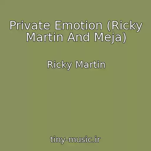کاور آهنگ Private Emotion (Ricky Martin And Meja) از Ricky Martin