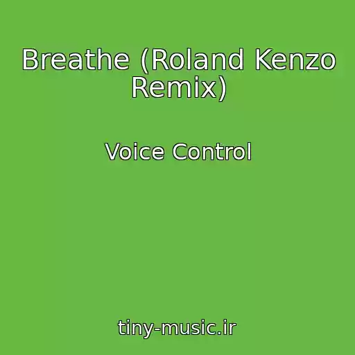 کاور آهنگ Breathe (Roland Kenzo Remix) از Voice Control