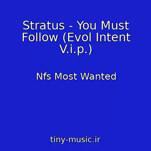 کاور آهنگ Stratus - You Must Follow (Evol Intent V.i.p.) از Nfs Most Wanted