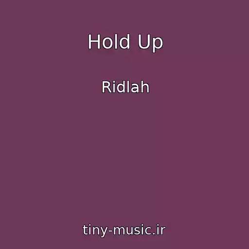 کاور آهنگ Hold Up از Ridlah