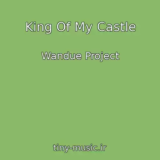 کاور آهنگ King Of My Castle از Wandue Project