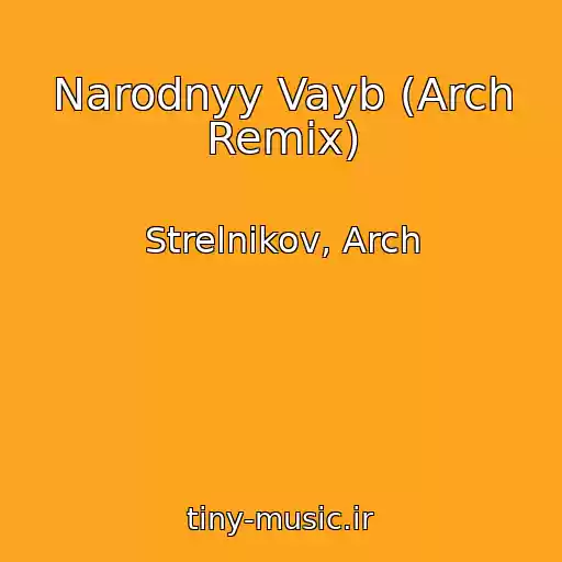 کاور آهنگ Narodnyy Vayb (Arch Remix) از Strelnikov, Arch