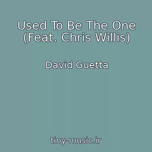 کاور آهنگ Used To Be The One (Feat. Chris Willis) از David Guetta