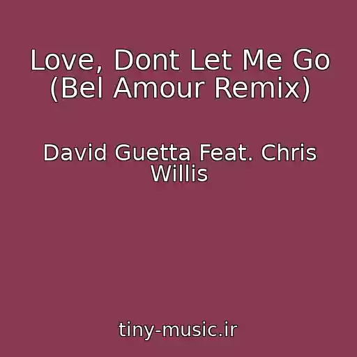 کاور آهنگ Love, Dont Let Me Go (Bel Amour Remix) از David Guetta Feat. Chris Willis