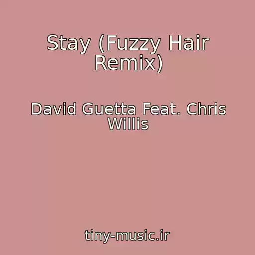 کاور آهنگ Stay (Fuzzy Hair Remix) از David Guetta Feat. Chris Willis