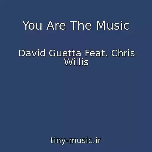 کاور آهنگ You Are The Music از David Guetta Feat. Chris Willis