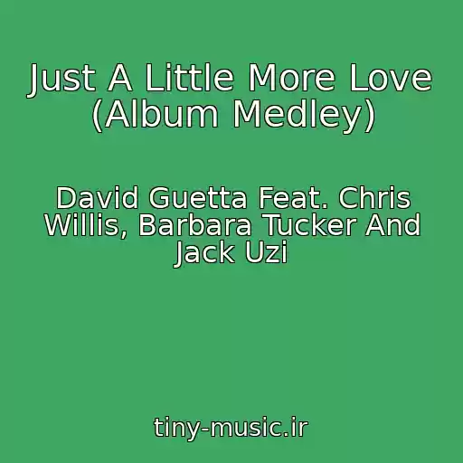 کاور آهنگ Just A Little More Love (Album Medley) از David Guetta Feat. Chris Willis, Barbara Tucker And Jack Uzi