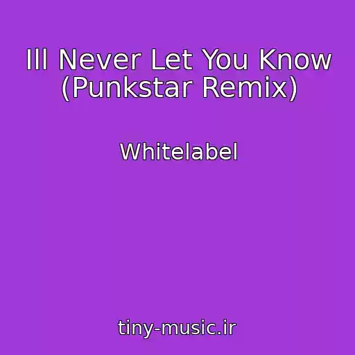 کاور آهنگ Ill Never Let You Know (Punkstar Remix) از Whitelabel