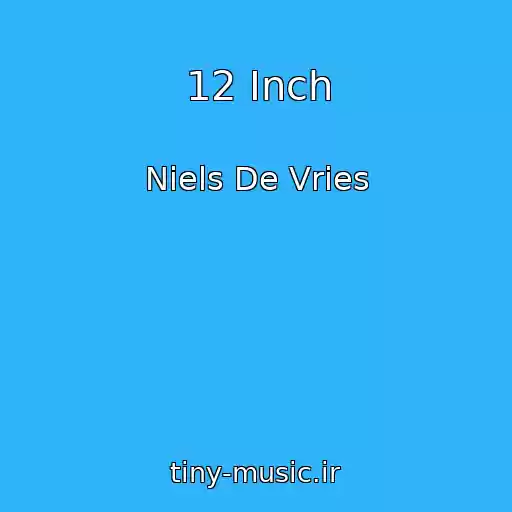 کاور آهنگ 12 Inch از Niels De Vries