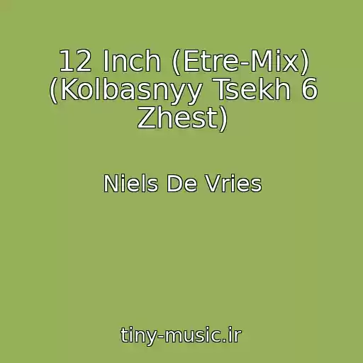 کاور آهنگ 12 Inch (Etre-Mix) (Kolbasnyy Tsekh 6 Zhest) از Niels De Vries