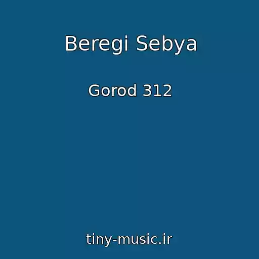 کاور آهنگ Beregi Sebya از Gorod 312