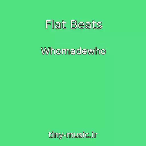 کاور آهنگ Flat Beats از Whomadewho