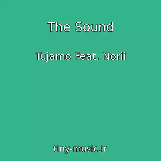کاور آهنگ The Sound از Tujamo Feat. Norii