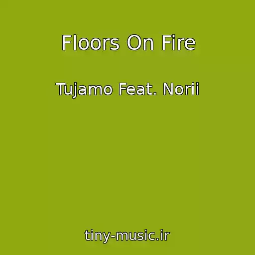 کاور آهنگ Floors On Fire از Tujamo Feat. Norii