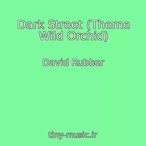کاور آهنگ Dark Street (Theme Wild Orchid) از David Rubber