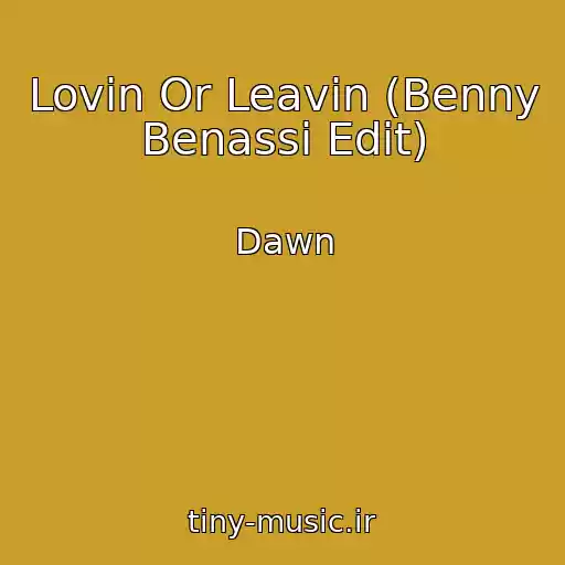 کاور آهنگ Lovin Or Leavin (Benny Benassi Edit) از Dawn
