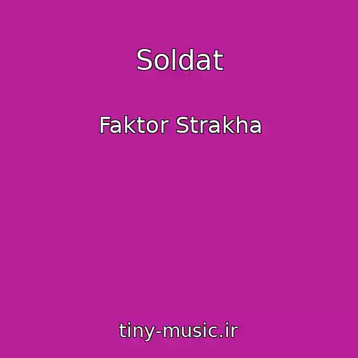 کاور آهنگ Soldat از Faktor Strakha