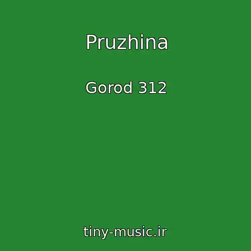 کاور آهنگ Pruzhina از Gorod 312