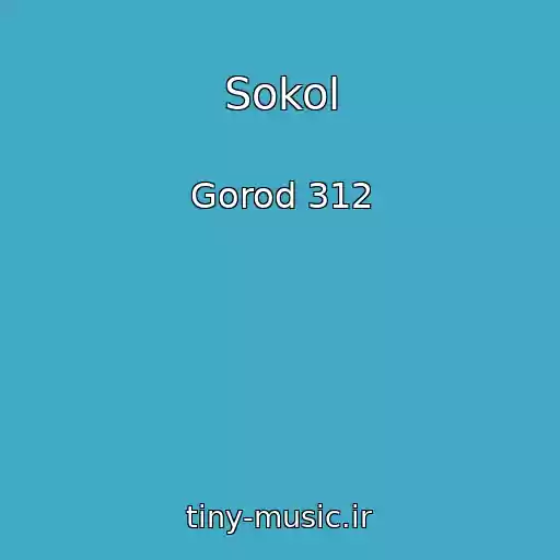 کاور آهنگ Sokol از Gorod 312