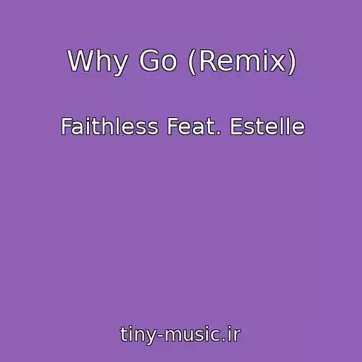 کاور آهنگ Why Go (Remix) از Faithless Feat. Estelle