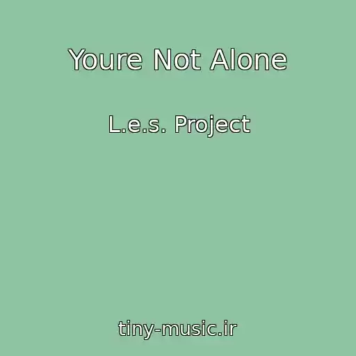کاور آهنگ Youre Not Alone از L.e.s. Project