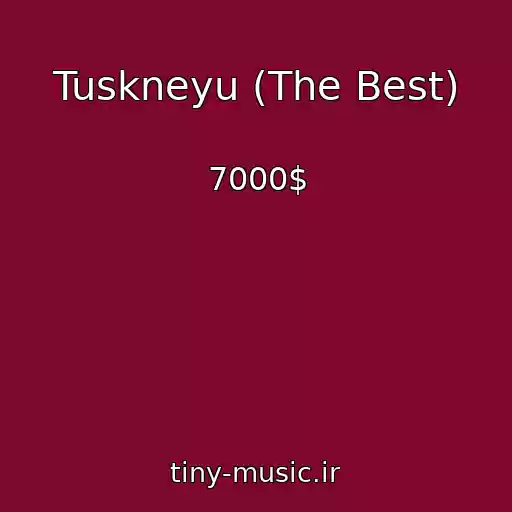 کاور آهنگ Tuskneyu (The Best) از 7000$